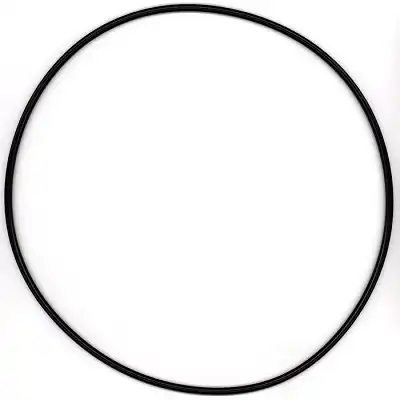 уплот. кольцо! 255x5 планетар. передачи задн. моста MB 315.621 ELRING