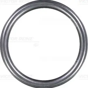 Кольцо уплотнительное форсунки VICTOR REINZ 40-76313-10