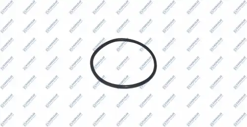 кольцо трансмиссии !82X4 IVECO, KAMAZ K2002113 KACMAZLAR