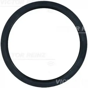 сальник вала ТНВД! 106x125x8 A SL ACM DAF 75CF 81-31596-00 VICTOR REINZ