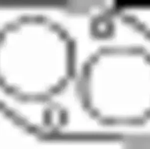 Прокладка глушителя BOSAL 256-419