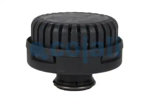 глушитель шума!M22x1.5, 69x45/56.5, 69dB/11bar Omn MB,Schmitz, DAF, Neoplan, Scania P/G/R/T 2203100 COJALI