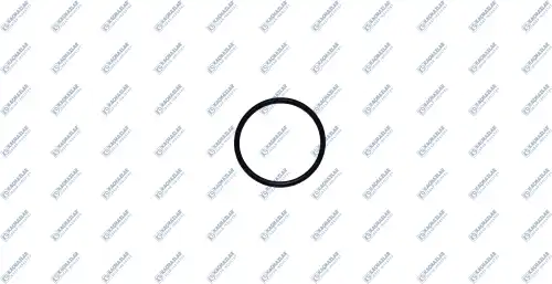 кольцо уплотнительное КПП !42 3B ACM1 80 K2002527 KACMAZLAR