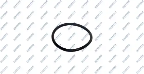 кольцо КПП! 72.4 х 5.3 MB K21.04310 KACMAZLAR