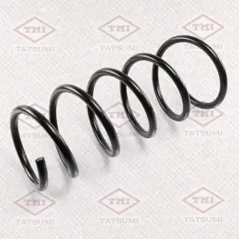 пружина задняя!Renault Duster AWD 10> TAE1030 TATSUMI