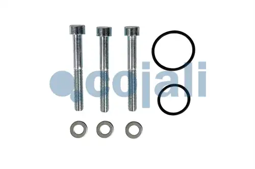 р/к монтажный ! прокладка (р), винты (м), шайбы (м) 6012370 COJALI