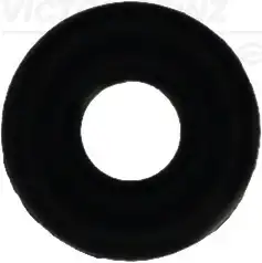 Шайба форсунки VICTOR REINZ 40-76702-00