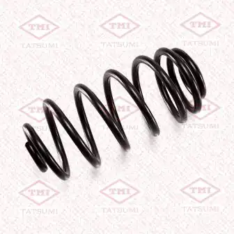 Пружина задняя TAE1039 TATSUMI