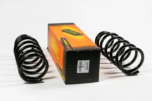 Пружина задняя JJS2249 JUST DRIVE