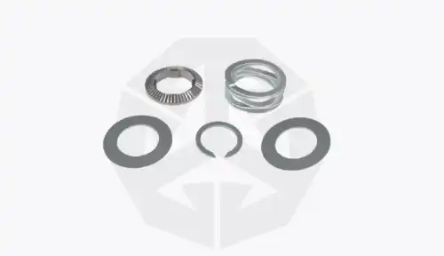 р/к дискового тормоза! 5(мр) к-кт шестерен и пружин мех. регулир. суппорта BPW TS2 3709/4309 19725 TTT