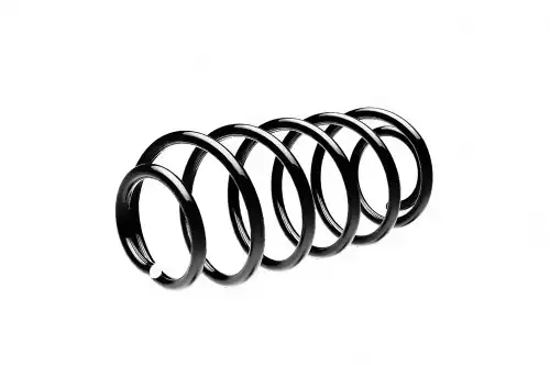 ПРУЖИНА ЗАДНЯЯ FIAT ST109024R STANDARD SPRINGS