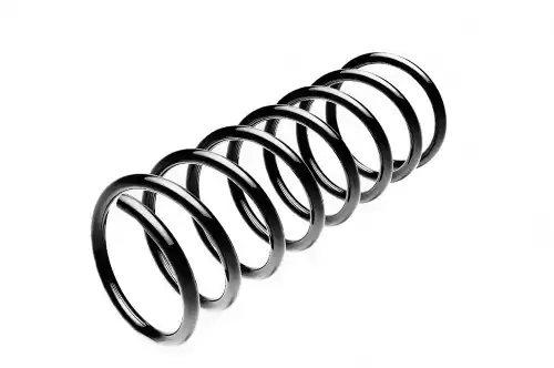 пружина задняя! Ford Focus C-Max 1.6-2.0TDCi 16V 03> ST 110 069 R STANDARD SPRINGS