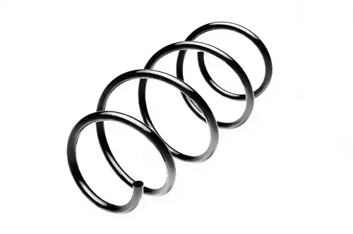 пружина передняя! Nissan Micra 1.0 16V/1.2 16V/1.4 16V 03> ST 123 075 F STANDARD SPRINGS
