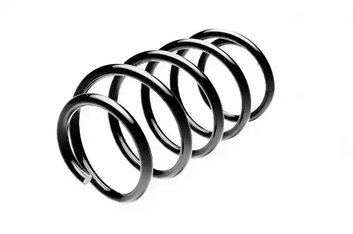 Пружина ходовой части ST124061F STANDARD SPRINGS