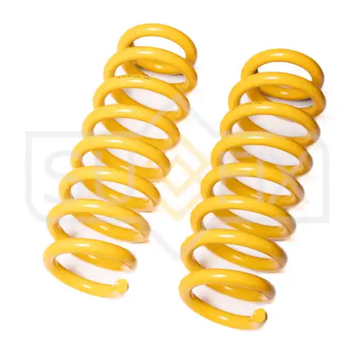 Пружины подвески задние SZ-2954 SUFIX