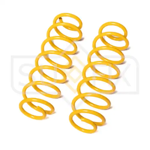 Пружины подвески зад прав/лев SZ-2975 SUFIX