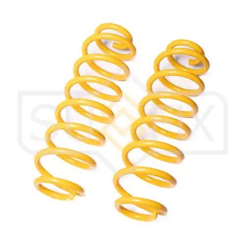 Пружины подвески зад прав/лев SZ-2982 SUFIX