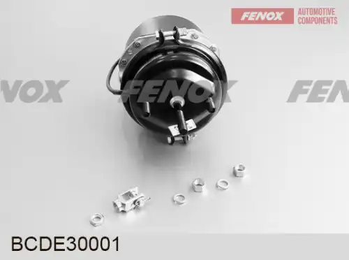 энергоаккумулятор !тип 30/30, шпильки М16x1.5 (120мм), шток М16x1.5 МАЗ BCDE30001 FENOX