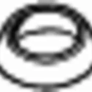 Прокладка глушителя BOSAL 256-550