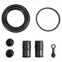 Ремкомплект суппорта для а/м Ford Fusion (02-)/Fiesta (02-) перед. d=54мм (RCF 102007) TRIALLI