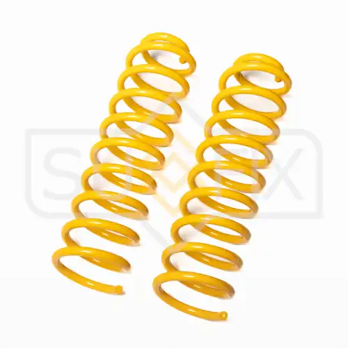 Пружины подвески зад прав/лев SZ-1570 SUFIX