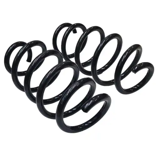 пружина задняя! Dacia Logаn Sandero 07> 42115-001R FEBEST