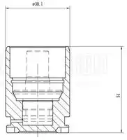 поршень суппорта зад. d38мм! Citroen C3 02-/C2 03>, Peugeot 207 06> RCF 103564 TRIALLI