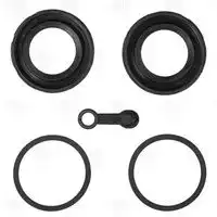 Ремкомплект суппорта для а/м Mercedes C W203 (00-) зад. d=36мм (для диска 9мм) (RCF 03200 RCF 032009 TRIALLI