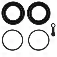 ремкомплект суппорта зад. d48мм!/Mercedes Sprinter 06>/Classic 13> RCF 032015 TRIALLI