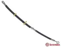 Шланг тормозной перед RR 02-, T44031 BREMBO