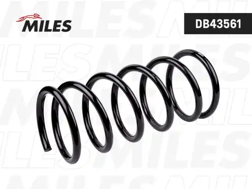 Пружина подвески FIAT DUCATO 15Q(244) 02-06 передняя DB43561 MILES