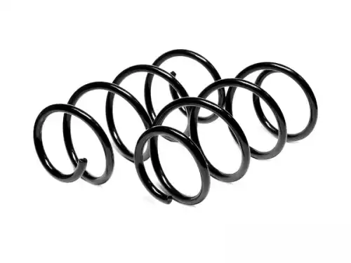 Пружина шт 19163 FOBOS