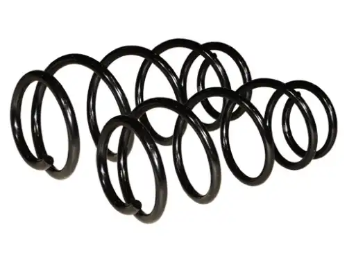 Пружина шт 20955 FOBOS