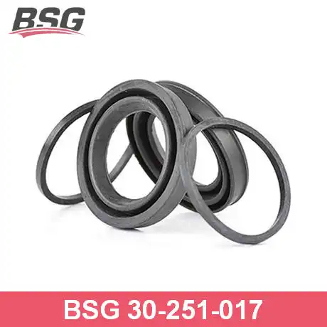 ремкомплект дискового тормоза! перед. Ford Transit 06> BSG 30-251-017 BSG