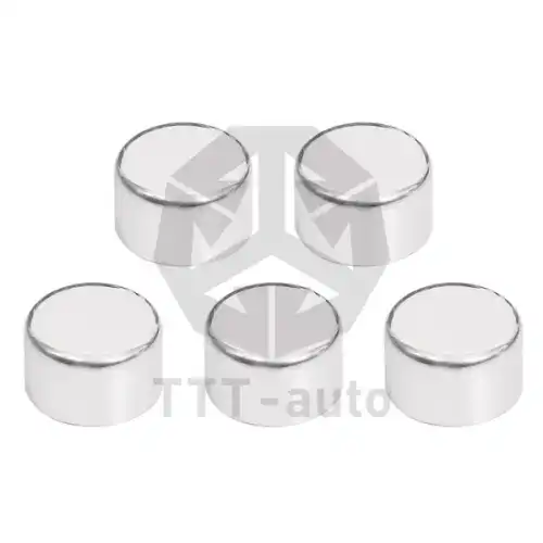 р/к дискового тормоза !5(м) крышки 40x24.5мм 5шт. KNORR SN6/SN7/SK7 15733 TTT