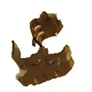 Пружины барабанных тормозных колодок TOYOTA / LEXUS 4777153060