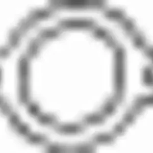 прокладка катализатора! Ford Escort/Fiesta/Orion 1.3-1.8/2.0/1.8D 91-00 256-068 BOSAL