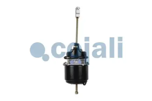 энергоаккумулятор !T24/30 Scania, DAF 2251406 COJALI