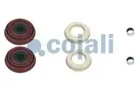 р/к дискового тормоза! (рм) сальники, пыльники, втулкиDAF 75/85/55/65/95/105CF/XF/LF/II/IV 6084001 COJALI