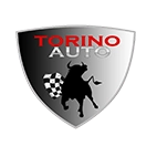 112/1-STD-ВД-С Рамка для номера автомобиля 112/1-STD пластик рельеф 'ВДВ' TORINO