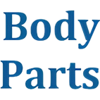 Автозапчасть/CIVIC ЗАЩИТА ПОДДОНА (Китай) ПЛАСТИК HDCVC069F0P BODYPARTS