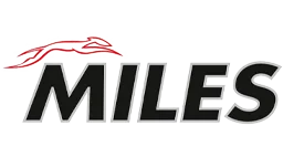 Пружина подвески SSANGYONG ACTYON II 4WD 12- задняя DB43713 MILES